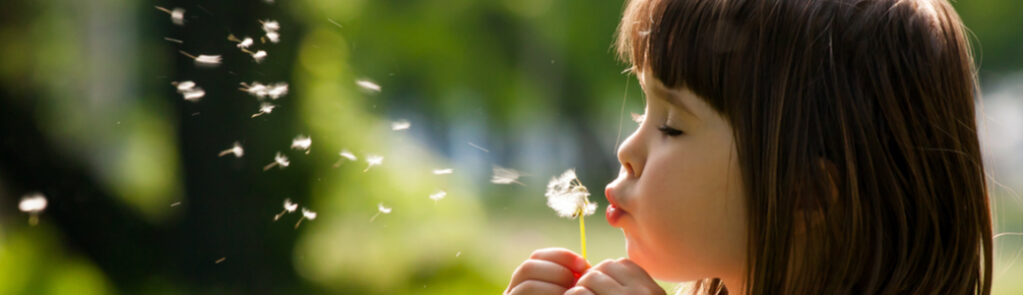 A child blowing a dandelion flower.