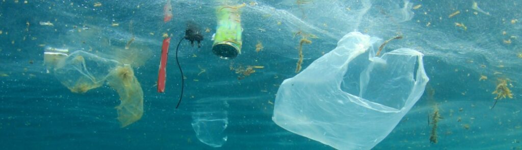 Plastic pollution in the ocean.