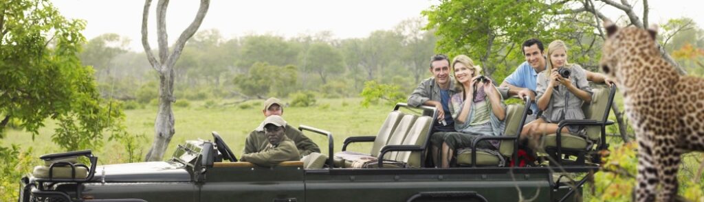 A group of tourists on safari taking a photo of a leopard.